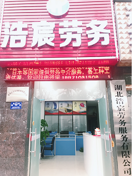 劳务中介与职业中介 定义、区别与选择指南